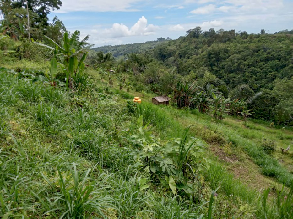 Di jual tanah untuk villa/ wisata Glamping