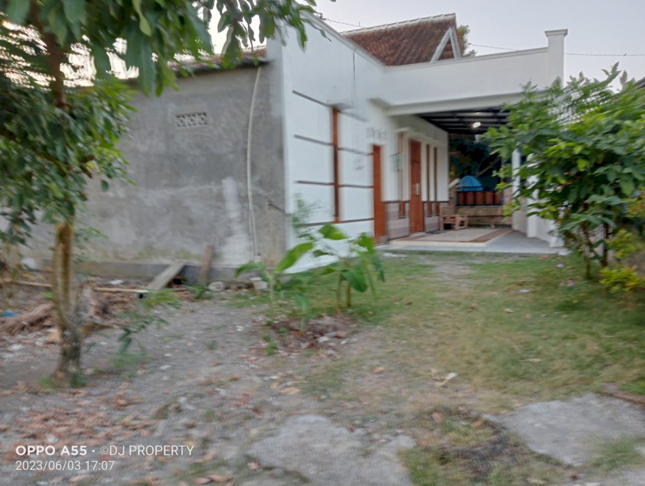 Rumah baru halaman luas View sawah