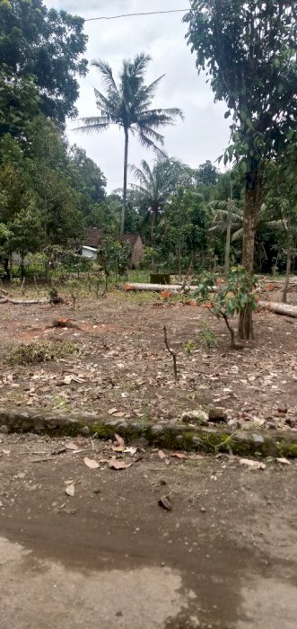 Tanah kosong / perkarangan