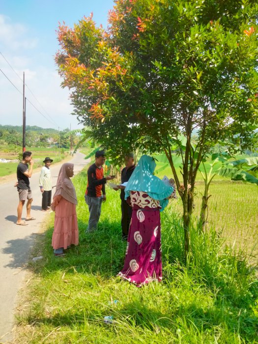 Di jual tanah/ sawah