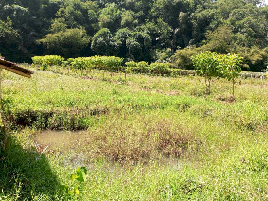 Dijual Tanah darat bekas sawah