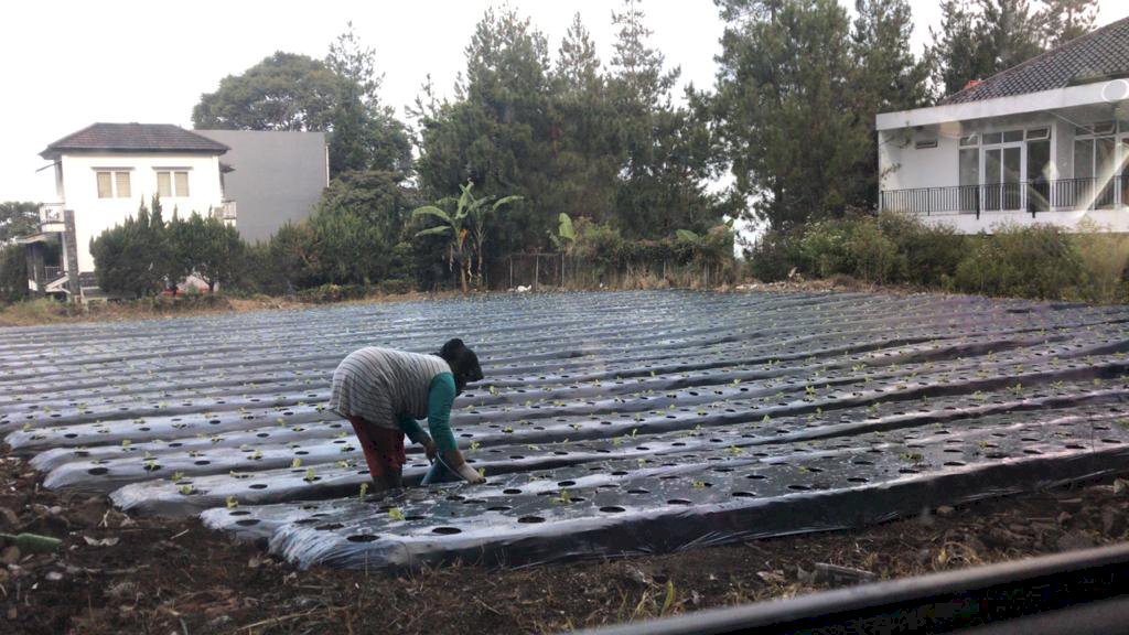 Jual Tanah Strategis di Villa Istana Bunga. Hook, Jalan Utama, Datar