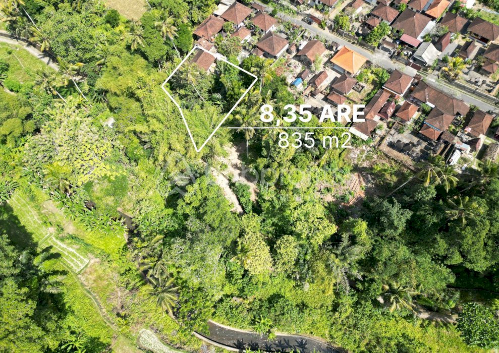 (#BSLL168) Discover the Beauty of Sayan Leasehold Land for Sale