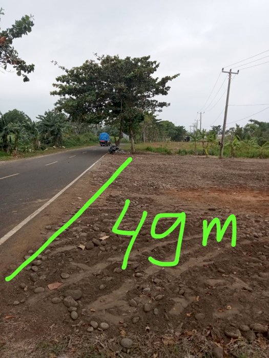 Peluang Bisnis dan Investasi Terbaik di Pantai Karangsari