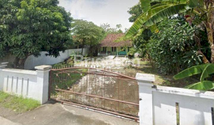 JUAL CEPAT TANAH LUAS BONUS RUMAH DI BRANGSONG-KENDAL