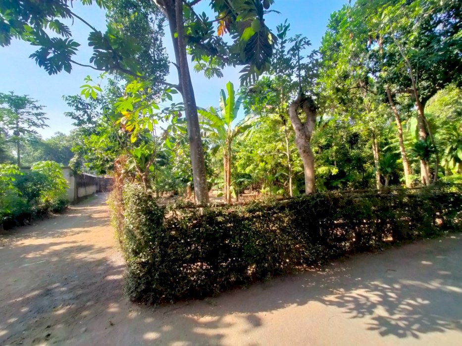 Dijual Tanah Pedasaan