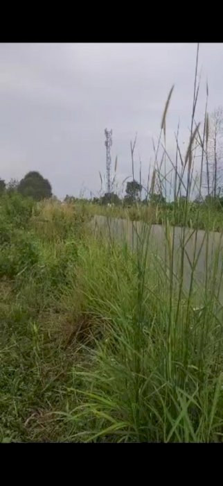 Jual tanah di landasan Ulin Banjarbaru