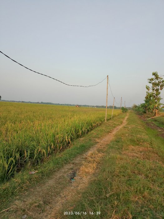 LAHAN PERTANIAN / SAWAH PRODUKTIF