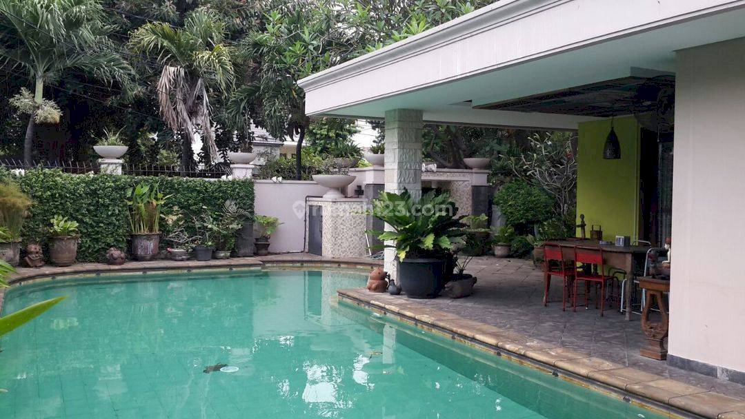 rumah kayu putih, Murah, lokasi bagus, kolam renang, jalan 3mobil, di