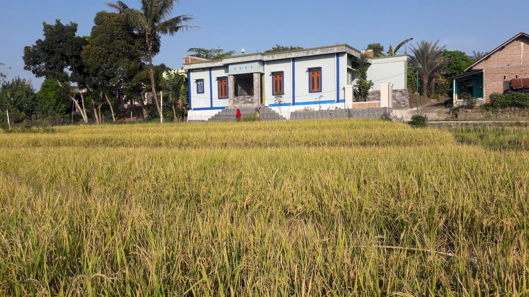 Jual Tanah Sawah SHM