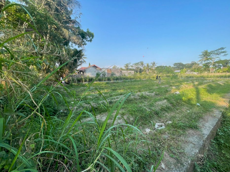 Di jual tanah sawah SHM di tempel sleman yogyakarta