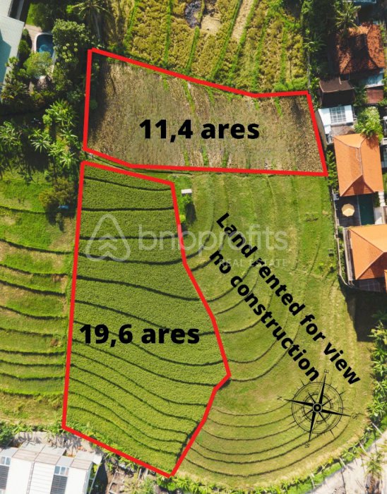 (#BSLL171) Prime Land for Lease in Pererenan  With Rice Field View