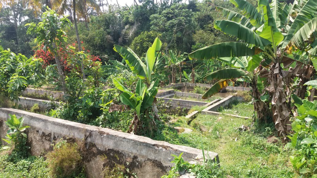 DIJUAL TANAH STRATEGIS DAN ASRI - CIJERUK