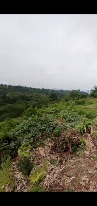 Jual tanah cepat area Bogor