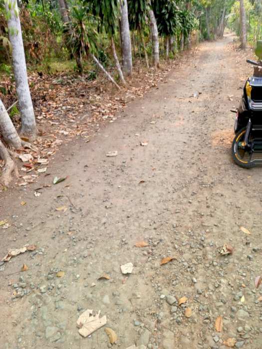 Di jual tanah datar luas 500m lebih