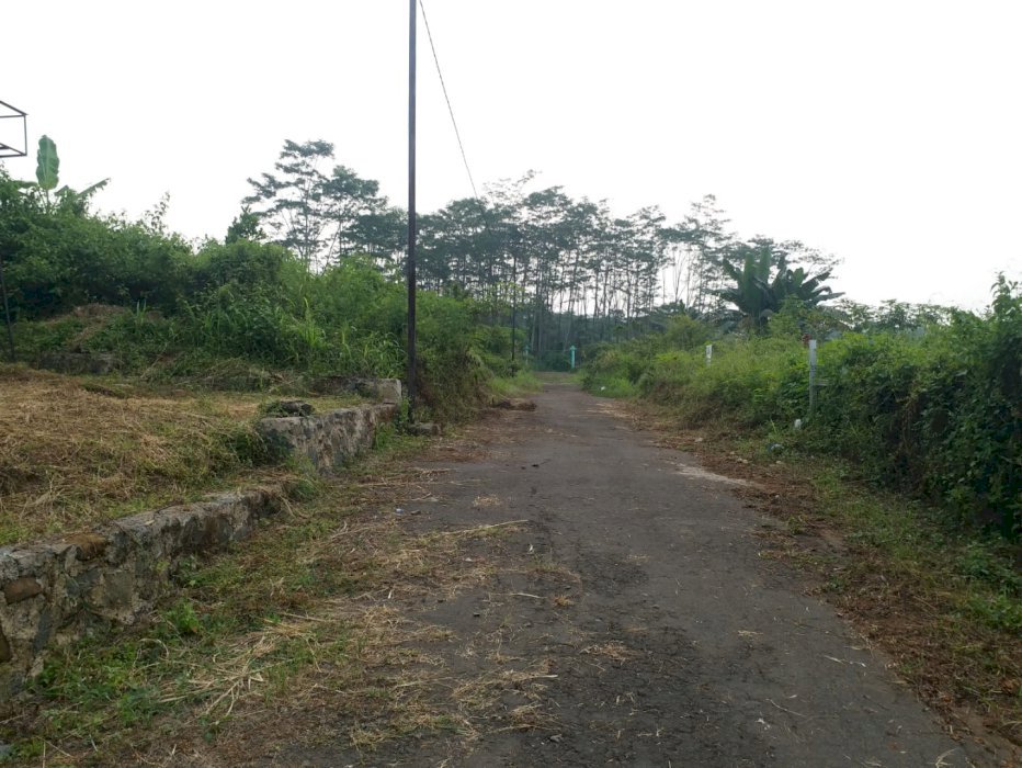 Tanah Dijual Murah Panorama Alam