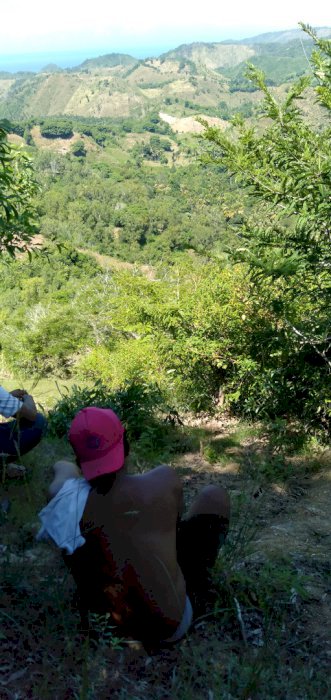 Desewakan tanah dekat sirkuit mandalika