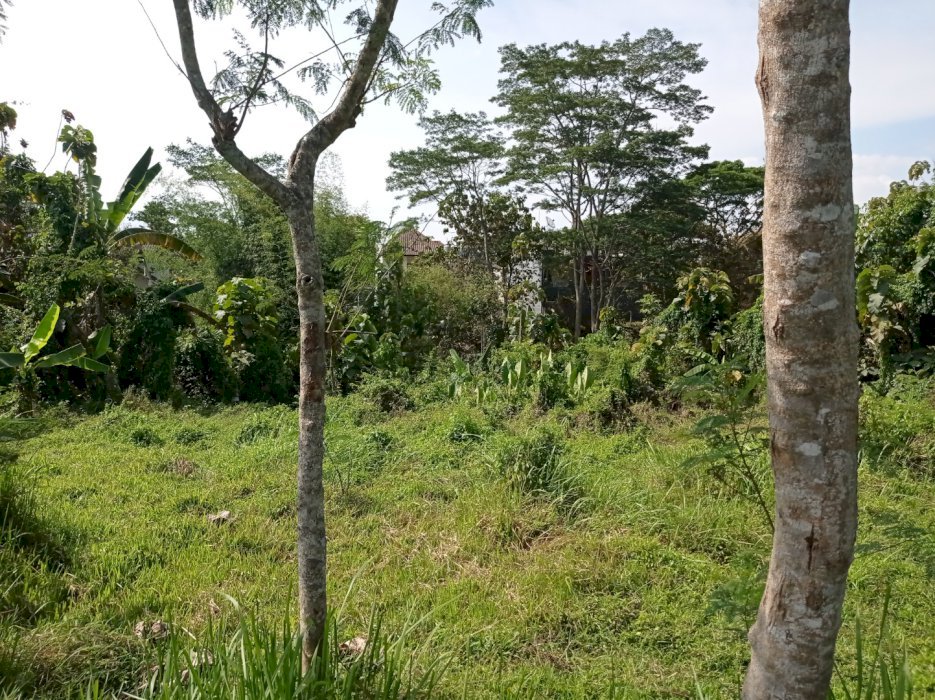 Tanah Berbatasan dengan Perum Araya Malang