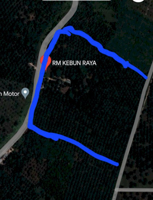 DIJUAL TANAH & SAWIT LOKASI BAGUS PINGGIR JALAN LINTAS