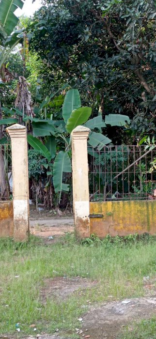 Tanak di daerah legok