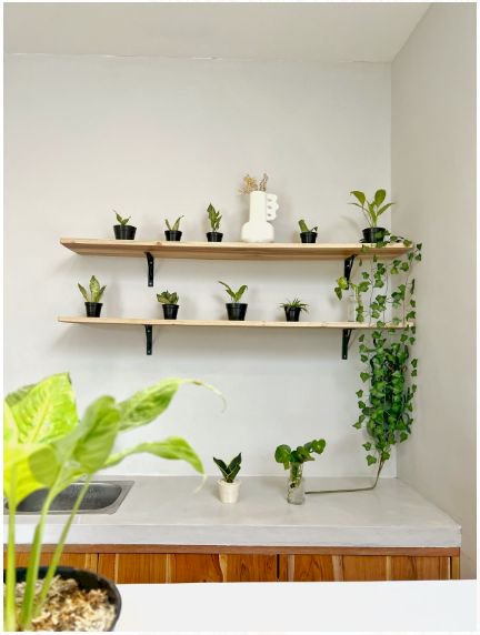 BRAND NEW 2 BEDROOMS MINIMALIST  VILLA NEAR CANGGU