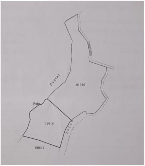  Tanah Pinggir Tebing Laut