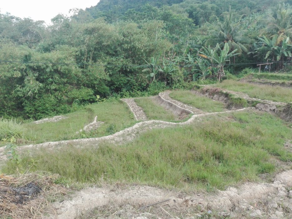 Dijual Tanah seluas 110000m2