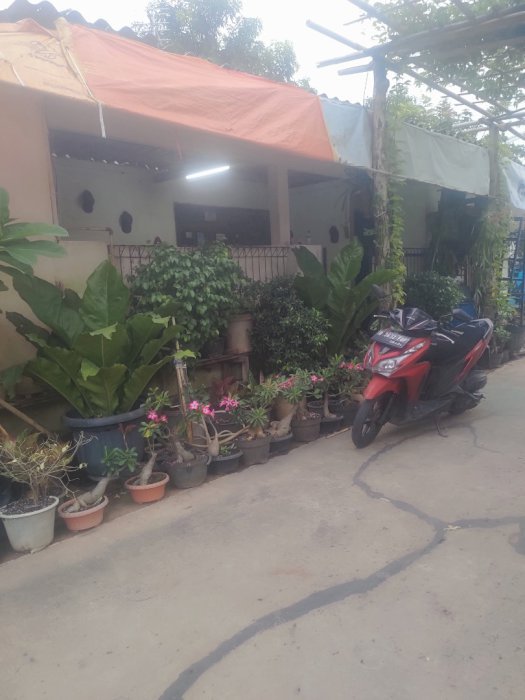 Rumah Hook depan Musholla