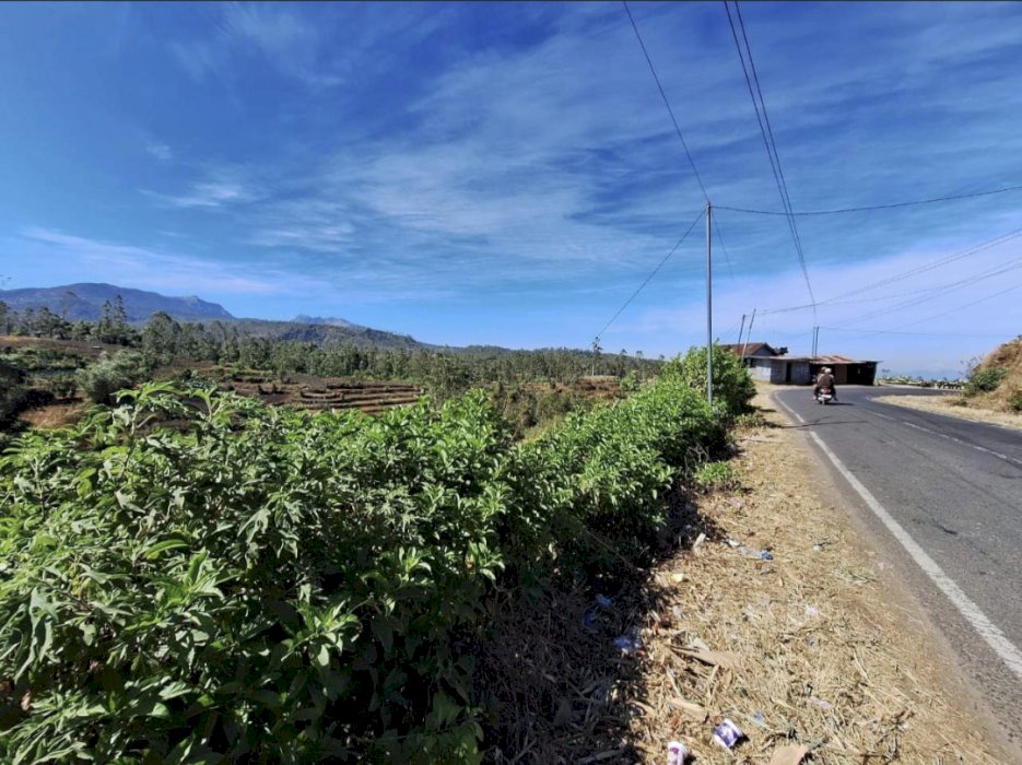 Butuh dana cepat insya Allah Amanah