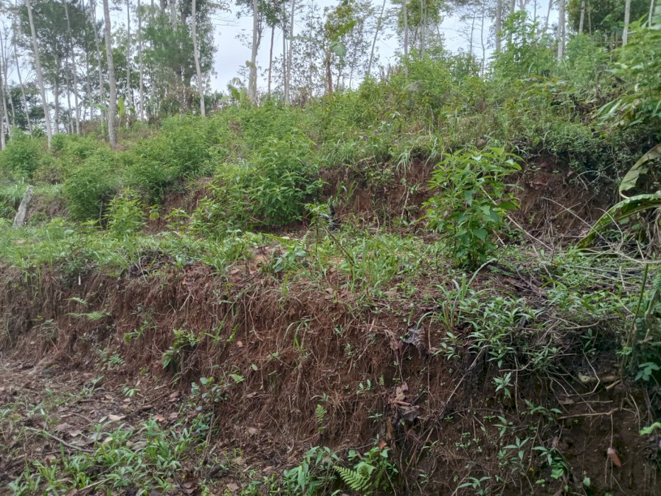 Jual tanah perkampungan