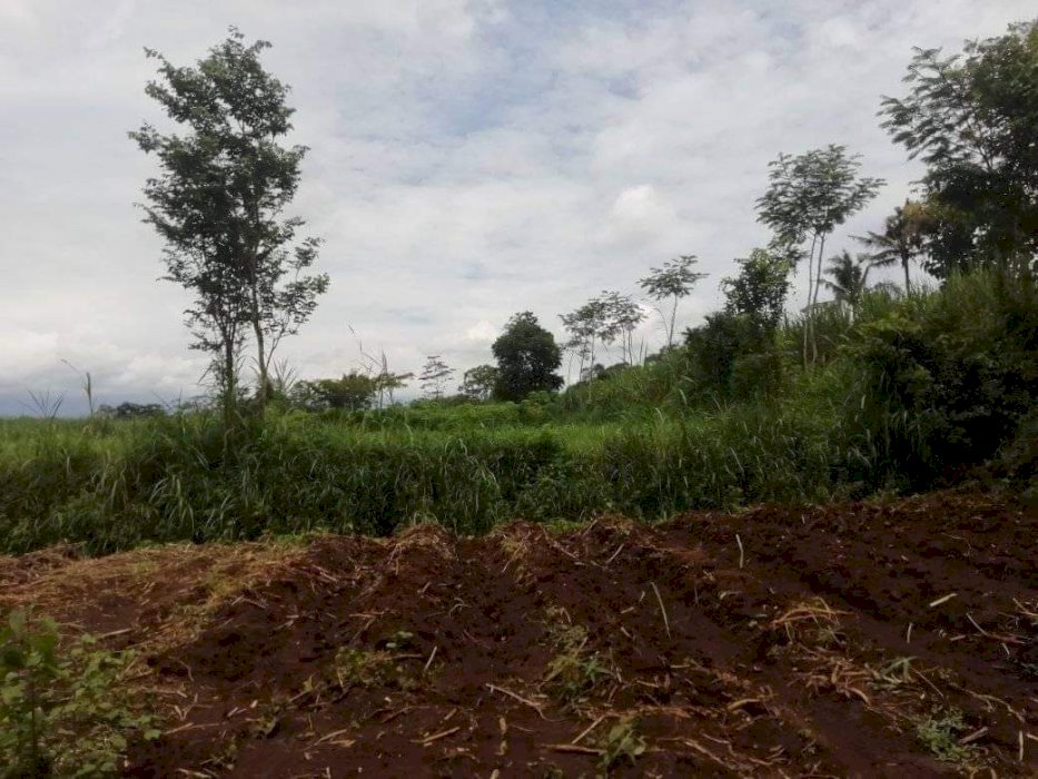 Jual Tanah , status Sertifikat SHM