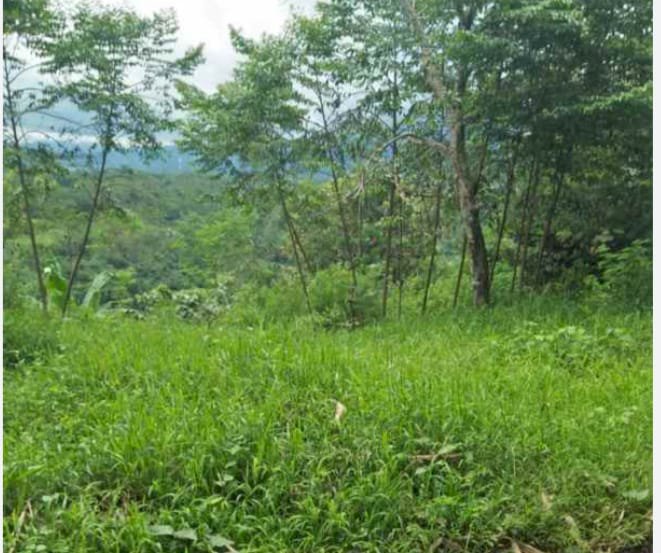 Jual tanah dekat bandara