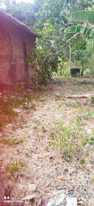 Di jual tanah pekarangan