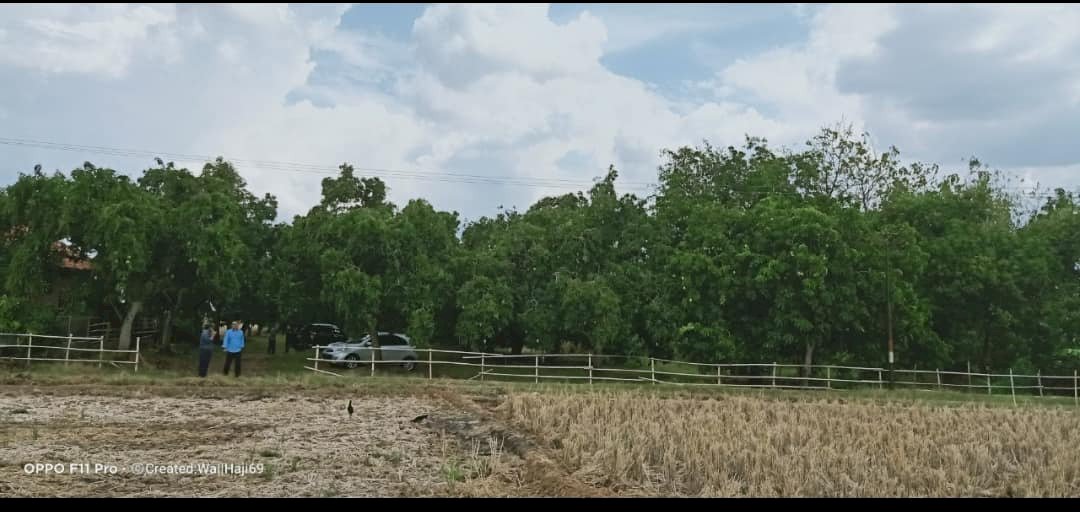 Di jual tanah luas kurang lebih 2h