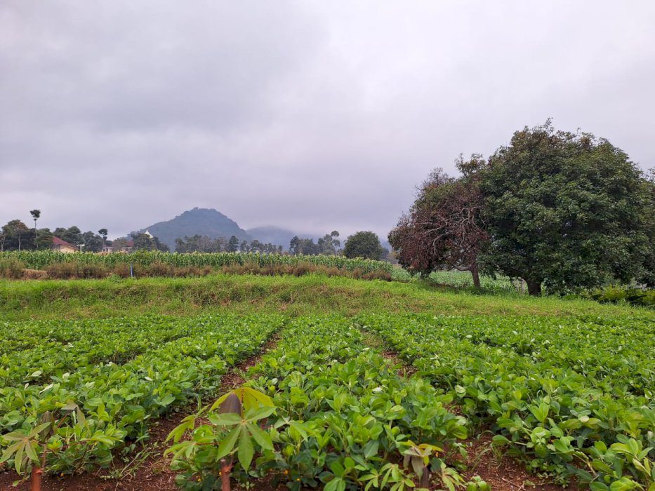Kavling Murah Berkualitas SHM Bukit Strawberry Arjasari