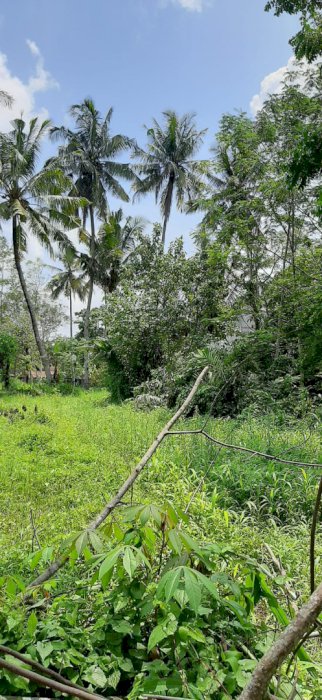 Tanah luas sleman dekat UII