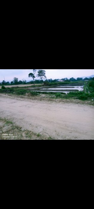 Jual tanah di Tobasamosir, kecamatan balige