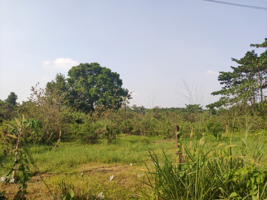 Tanah luas 1 hektar di depok