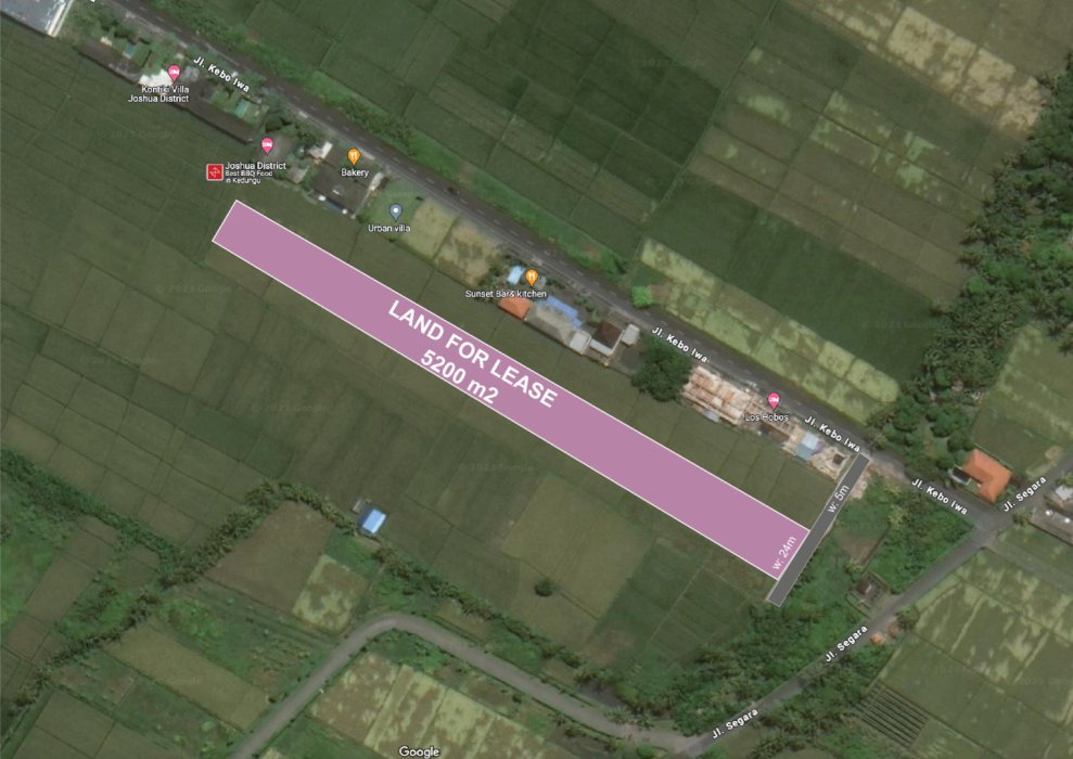 DI SEWAKAN LAHAN SAWAH COCOK UNTUK BANGUN VILLA