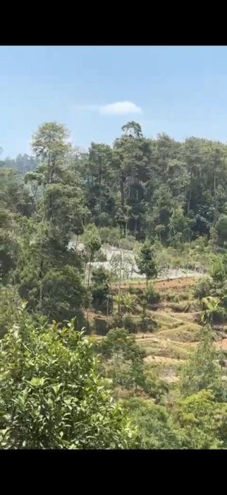 DIJUAL TANAH DI AREAL LEMBANG