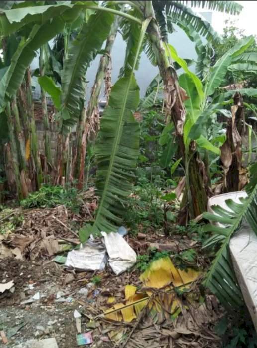 DIJUAL TANAH 100 METER