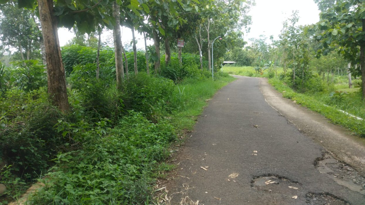 Tanah zona kuning cocok buat pabrik karena dekat dengan pabrik