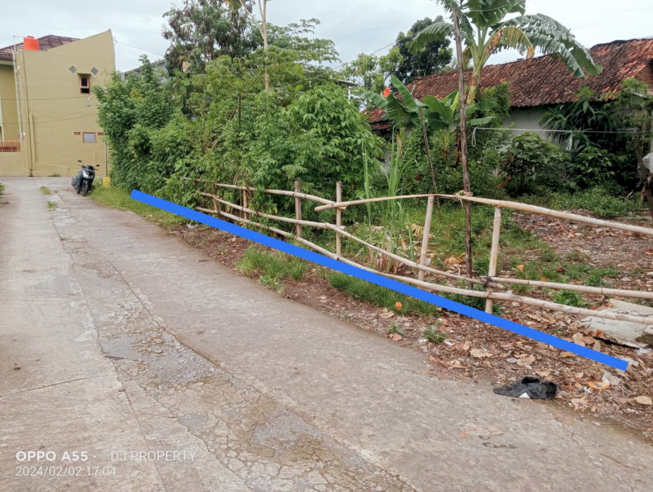 Pekarangan View sawah area kampus UMY