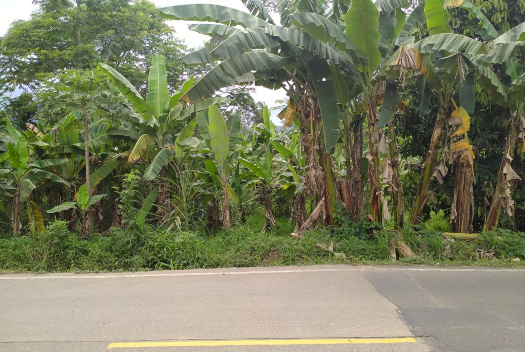 [Dijual] TANAH PINGGIR JALAN RAYA UTAMA | IDRumah