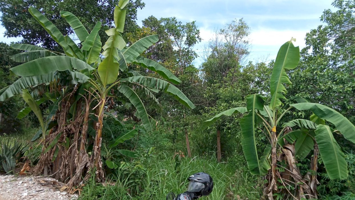 Jual Tanah Luas 281 M2 Strategis Deket Perumahan Dan Pasar Tempel