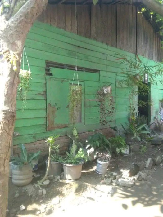 Di Jual, Rumah dan Tanah. Ukuran 20x10