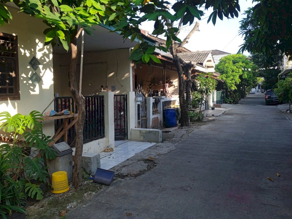 Rumah minimalis dan asri