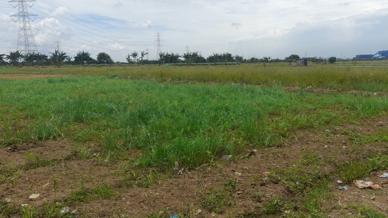 TANAH SAWAH KERING SETRATEGIS MURAH