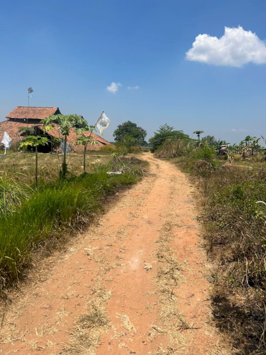 Jual tanah bisa untuk perumahan