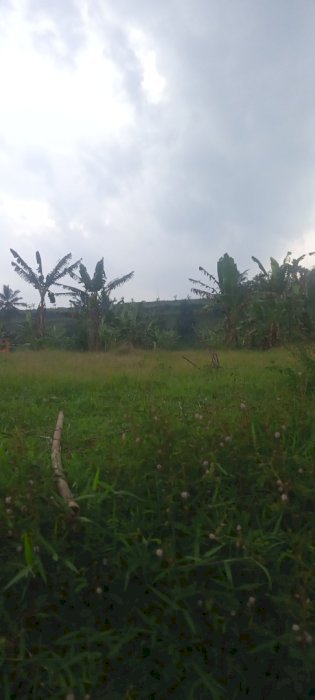 Dijual tanah kebun cocok untuk Fila ataw froyek